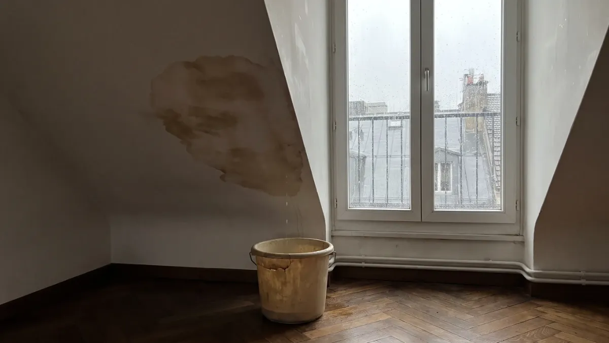 Tache d’eau au plafond d’un appartement sous les toits, avec un seau posé sur le parquet pour recueillir les gouttes (illustration)